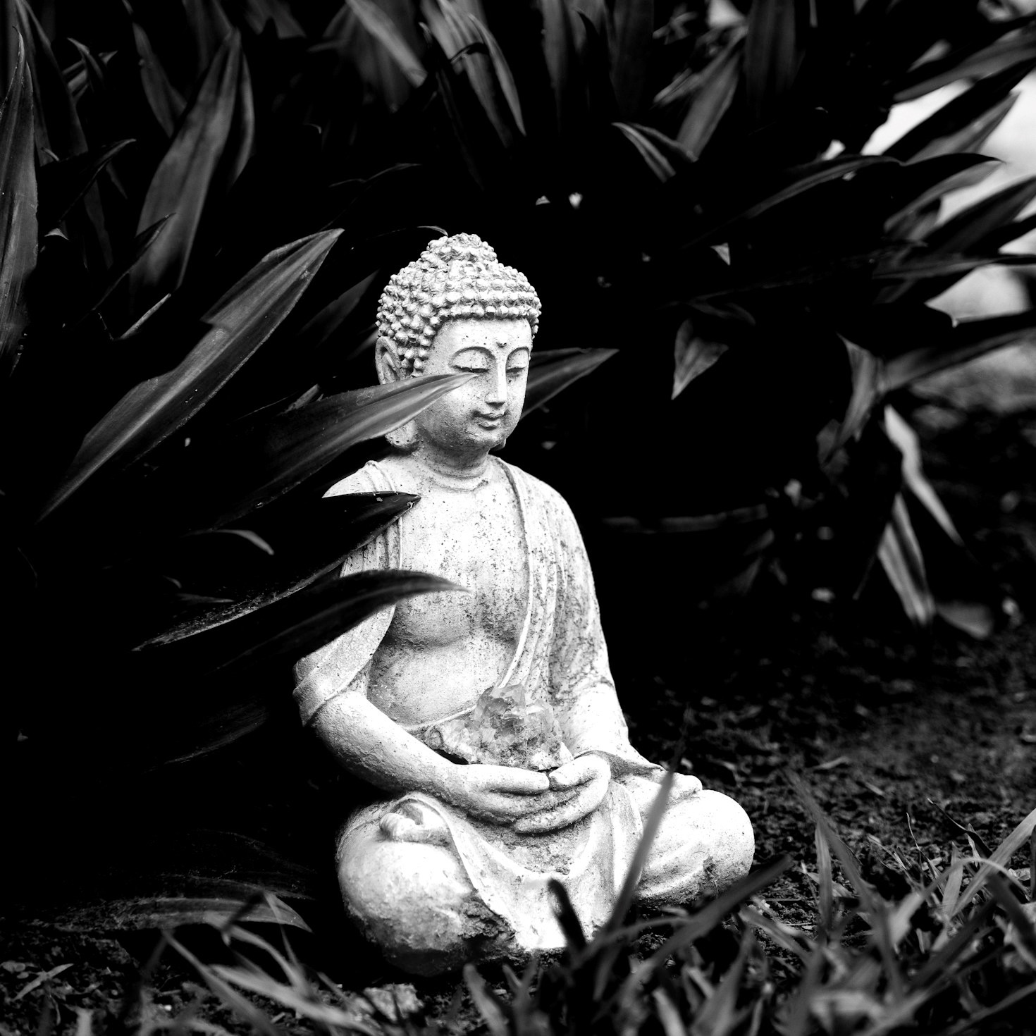 The Importance of Trusting Your Intuition in Readings